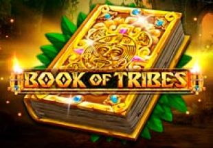 General information about Book Of Tribes slot