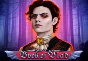 General information about Book of Vlad slot