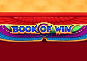 General information about Book of Win slot