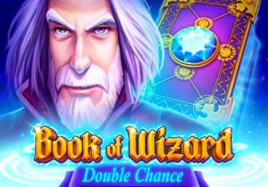 General information about Book of Wizard slot