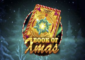 General information about Book of Xmas slot