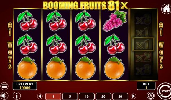Booming Fruits 81x