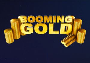 General information about Booming Gold slot