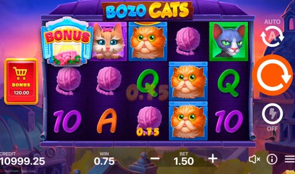 Bozo Cats