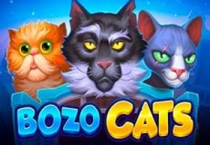 General information about Bozo Cats slot