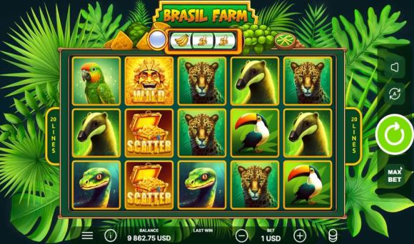 Brasil Farm
