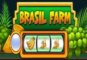 General information about Brasil Farm slot