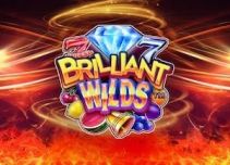 Brilliant Wilds