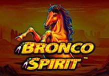 Bronco Spirit