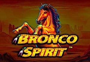 General information about Bronco Spirit slot