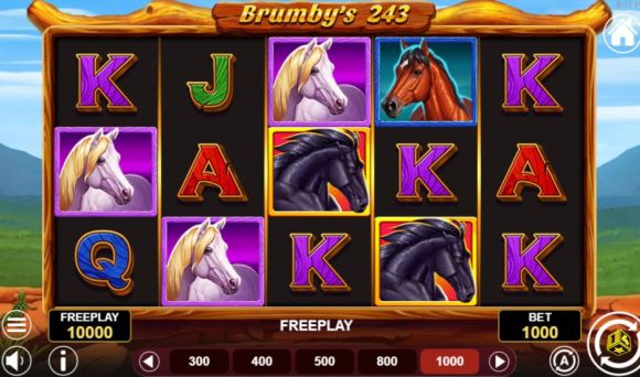 Brumby's 243