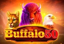 Buffalo 50