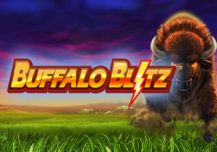 Buffalo Blitz