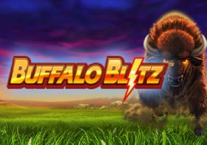 General information about Buffalo Blitz slot