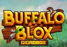 Buffalo Blox Gigablox