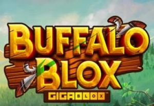 General information about Buffalo Blox Gigablox slot