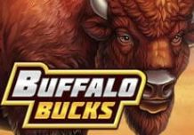 Buffalo Bucks