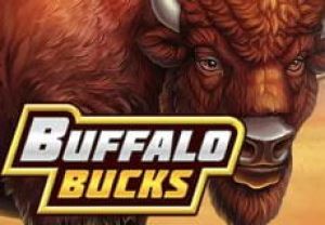 General information about Buffalo Bucks slot