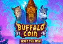 Buffalo Coin Hold the Spin