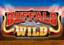 Buffalo Goes Wild