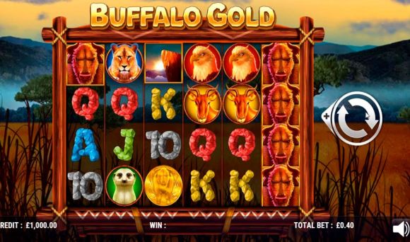 Buffalo Gold