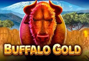 General information about Buffalo Gold slot