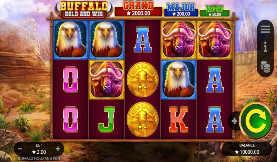 Buffalo Hold and Win