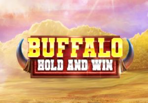 General information about Buffalo Hold and Win slot