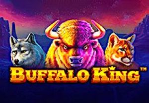 General information about Buffalo King slot