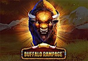 General information about Buffalo Rampage slot