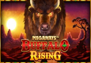 General information about Buffalo Rising Megaways slot