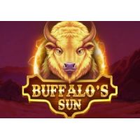 Buffalos Sun