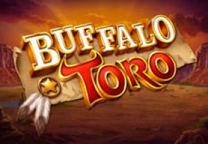 General information about Buffalo Toro slot