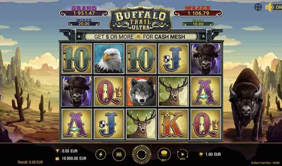 Buffalo Trail Ultra