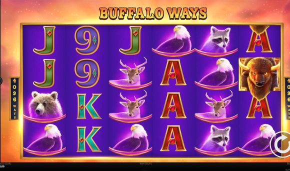 Buffalo Ways