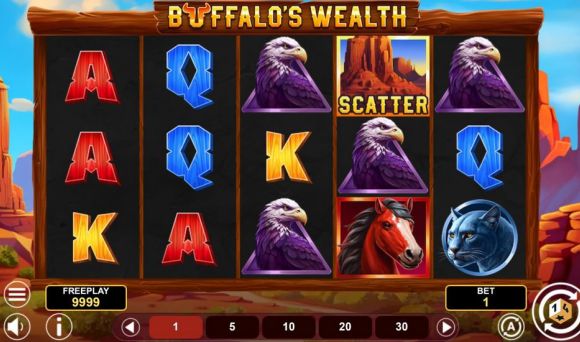 Buffalo's Wealth