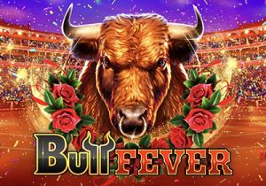 General information about Bull Fever slot