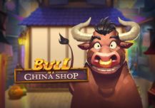 Bull in a China Shop