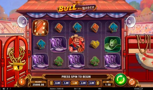 Bull in a Rodeo