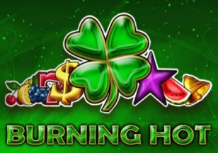 General information about Burning Hot slot