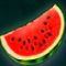Watermelon symbol