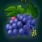 Grapes symbol
