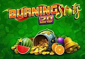 General information about Burning Slots 20 slot