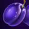 Plum 