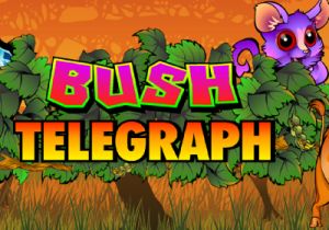 General information about Bush Telegraph slot