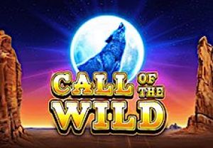 General information about Call of the Wild slot