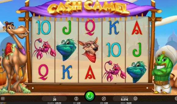 Cash Camel 