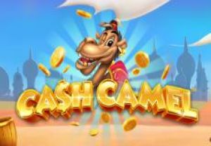 General information about Cash Camel slot