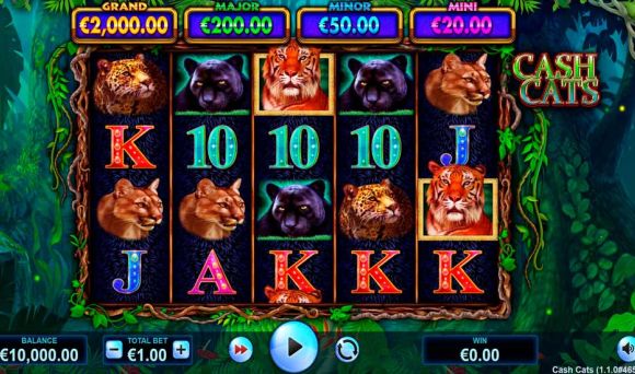 Cash Cats