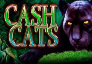 General information about Cash Cats slot